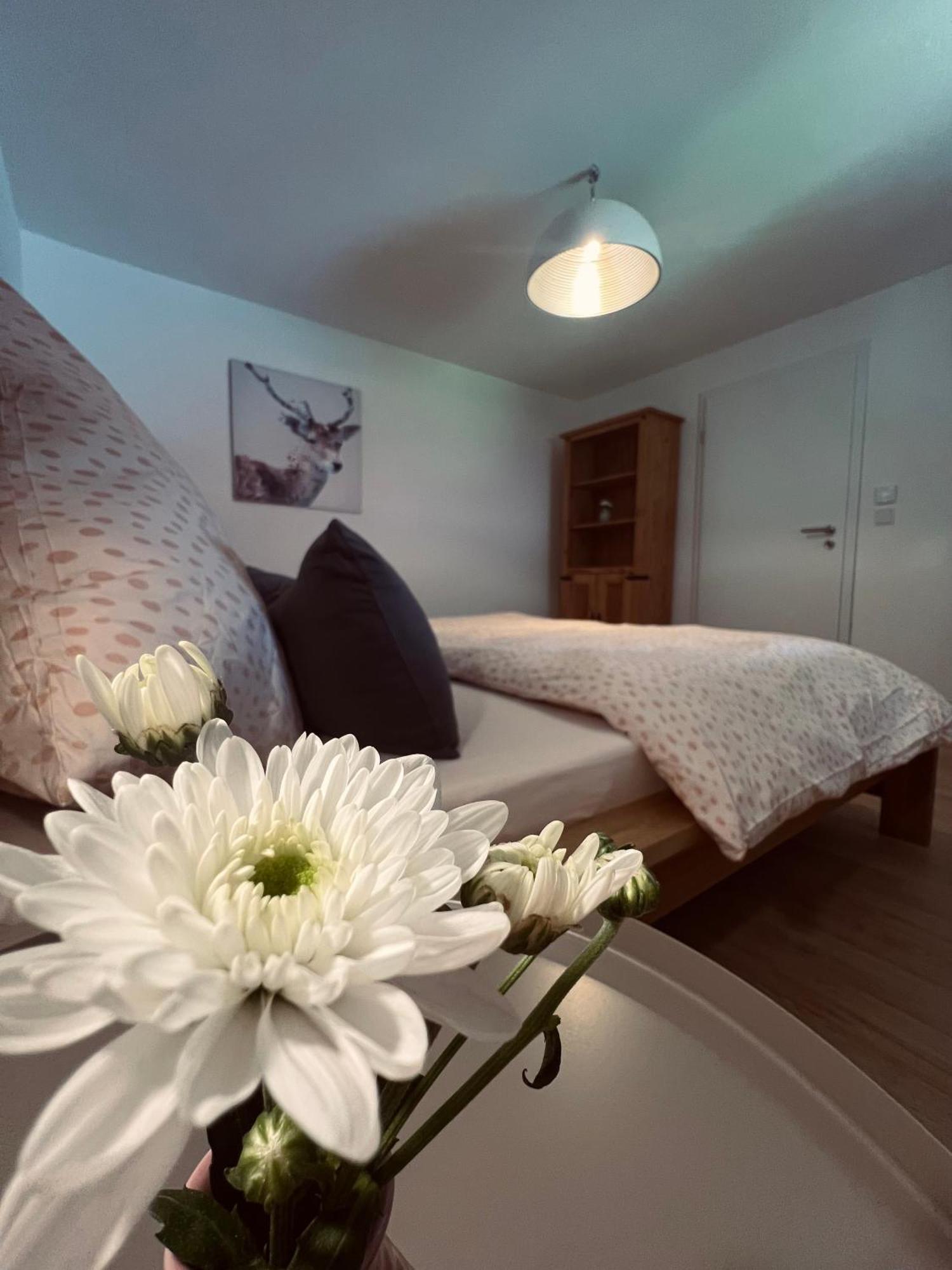 Ferienwohnung Leonie Oberau  Esterno foto